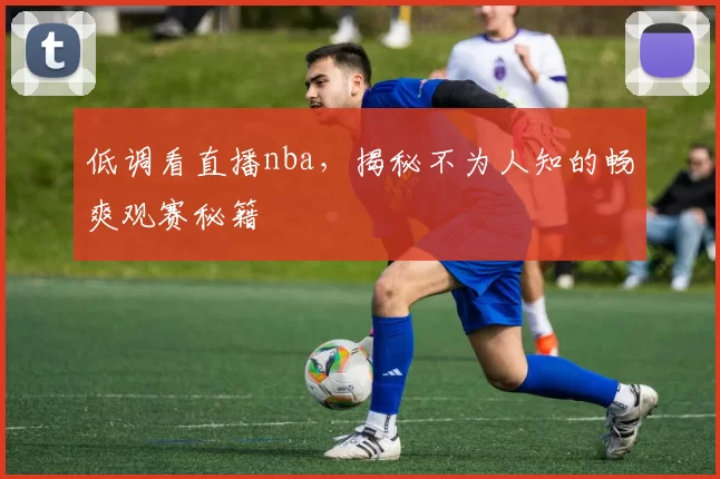 低调看直播nba，揭秘不为人知的畅爽观赛秘籍