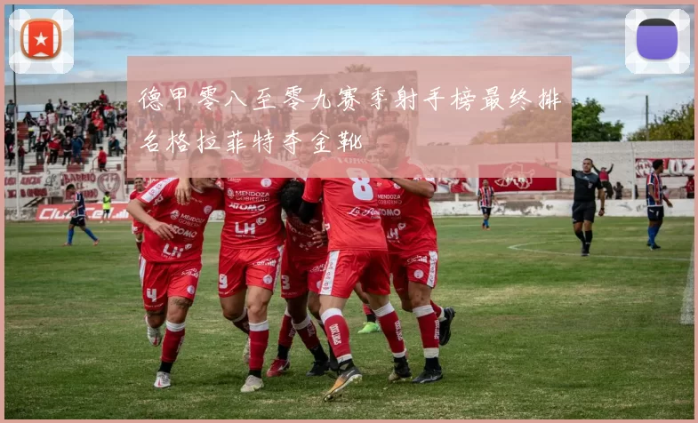 德甲零八至零九赛季射手榜最终排名格拉菲特夺金靴