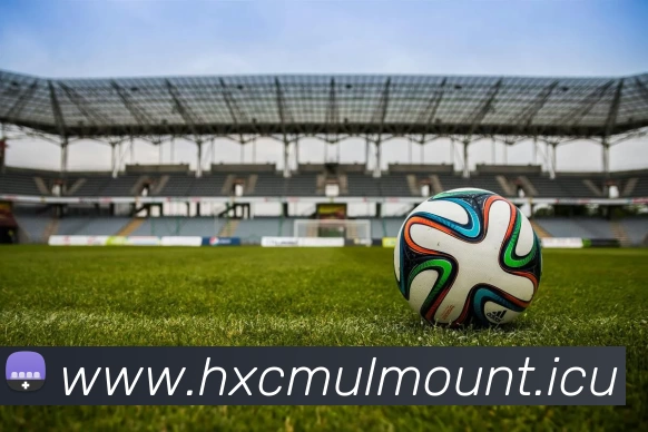 九游(NINE GAME)体育·官方网站 - 中国智慧体育科技领导者品牌故事