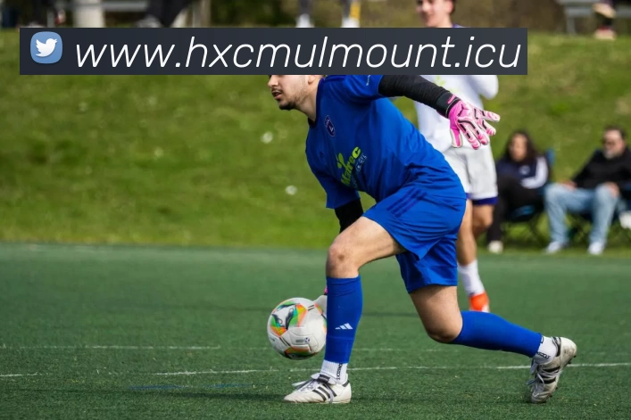 九游(NINE GAME)体育·官方网站 - 中国智慧体育科技领导者服务体系